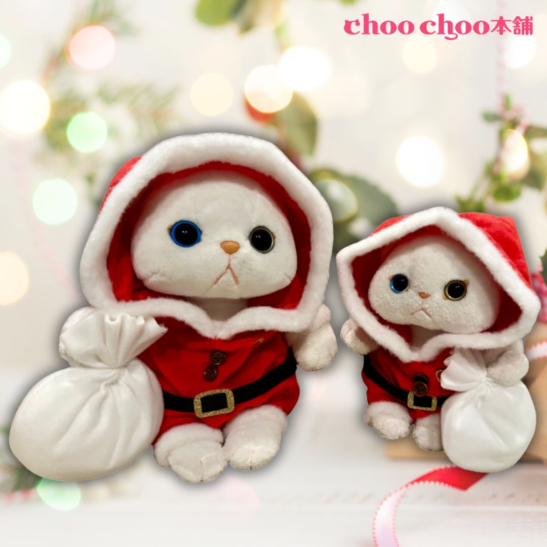 choo chooサンタさん🎅が愛らしい🎄